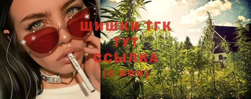 Бошки Шишки THC 21%  купить наркотик  Опочка 